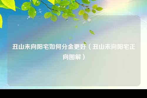 丑山未向阳宅如何分金更好（丑山未向阳宅正向图解）