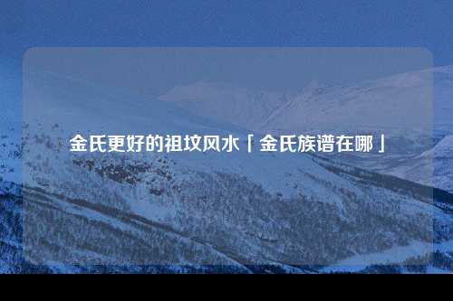 金氏更好的祖坟风水「金氏族谱在哪」