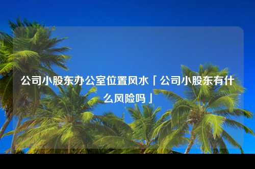 公司小股东办公室位置风水「公司小股东有什么风险吗」