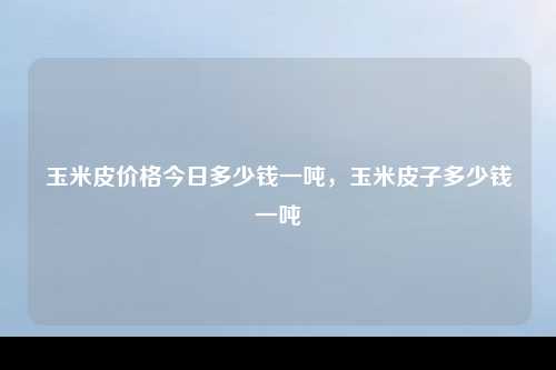 玉米皮价格今日多少钱一吨，玉米皮子多少钱一吨