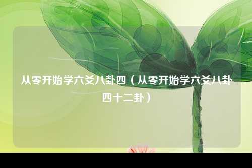 从零开始学六爻八卦四（从零开始学六爻八卦四十二卦）