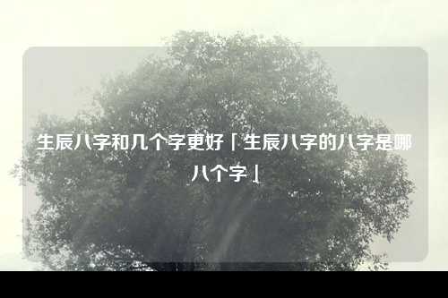 生辰八字和几个字更好「生辰八字的八字是哪八个字」