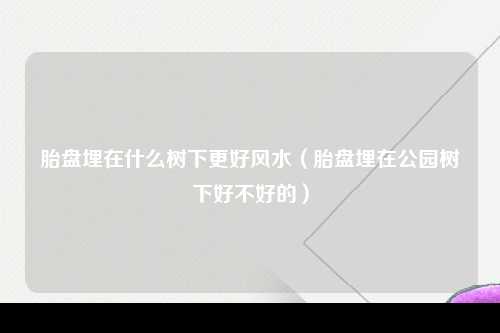 胎盘埋在什么树下更好风水（胎盘埋在公园树下好不好的）