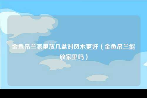 金鱼吊兰家里放几盆对风水更好（金鱼吊兰能放家里吗）