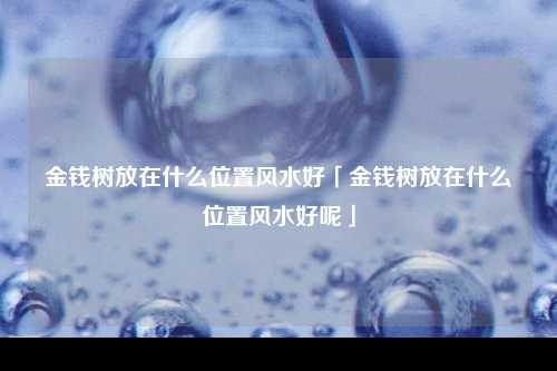 金钱树放在什么位置风水好「金钱树放在什么位置风水好呢」